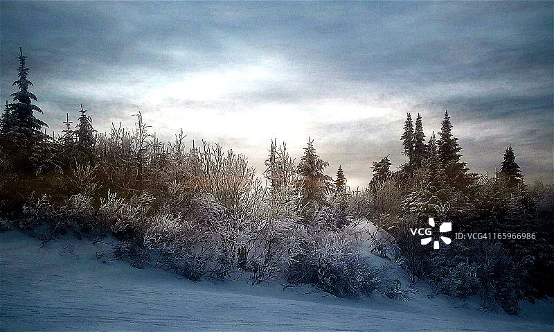 滑雪道上的足迹图片素材
