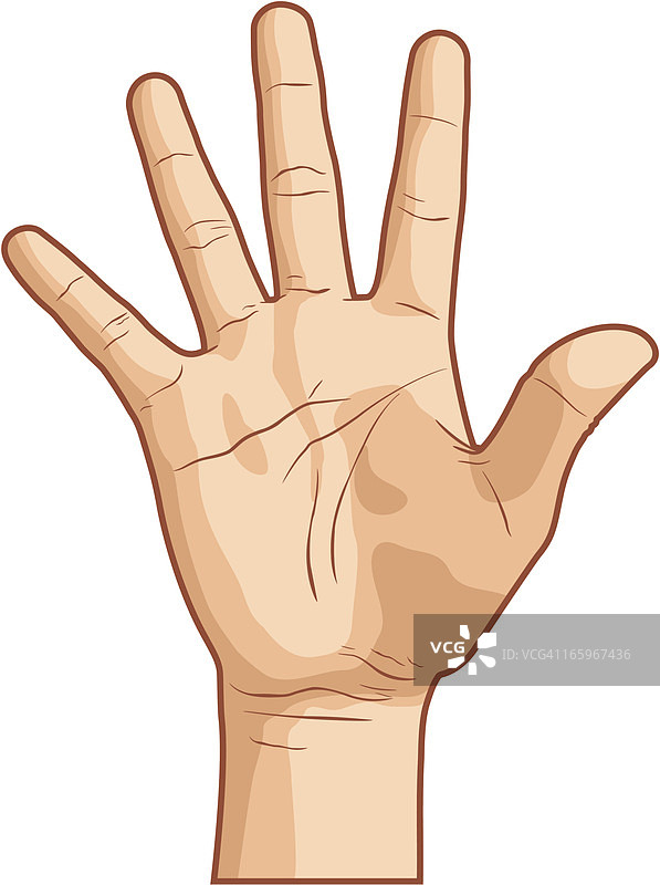 手势数字五图片素材