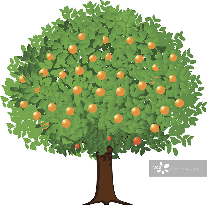 卡通橘子树结果实图片素材