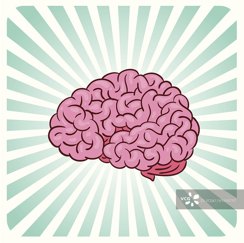 大脑图片素材