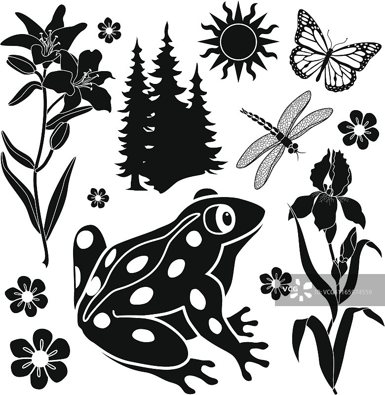 夏季设计元素图片素材