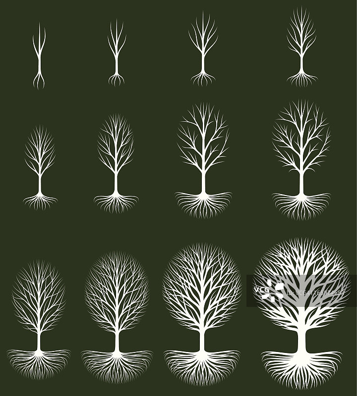 生长的树木矢量图标集图片素材