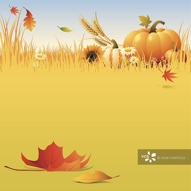 丰收-田野图片素材