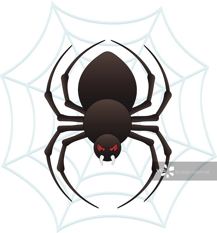 蜘蛛图片素材