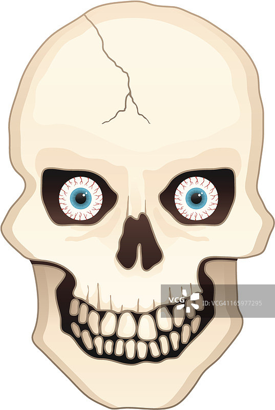 疯狂的万圣节骷髅头图片素材