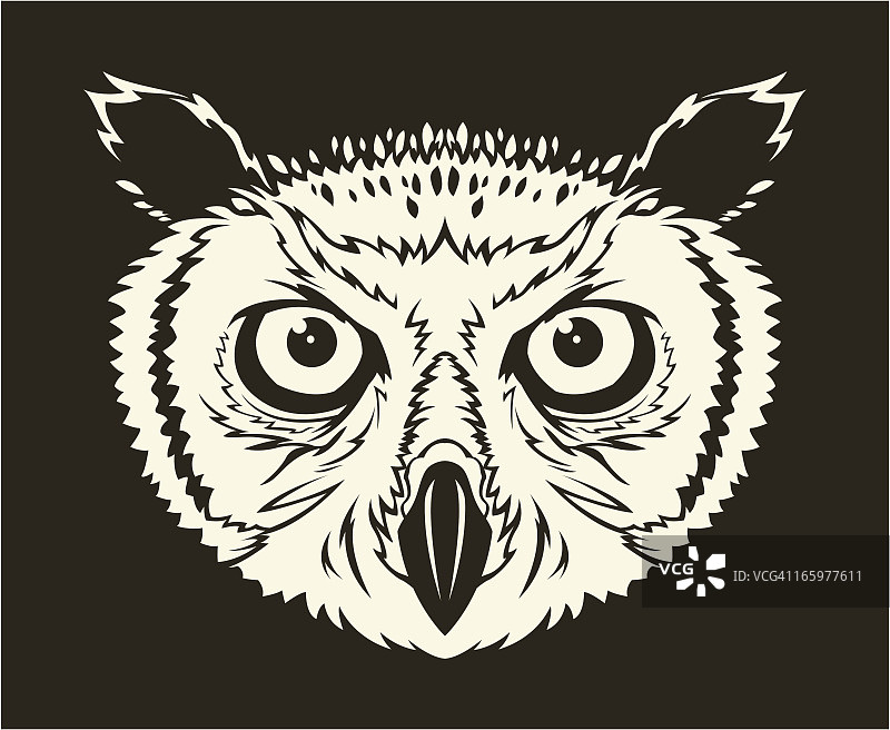 猫头鹰头部图片素材