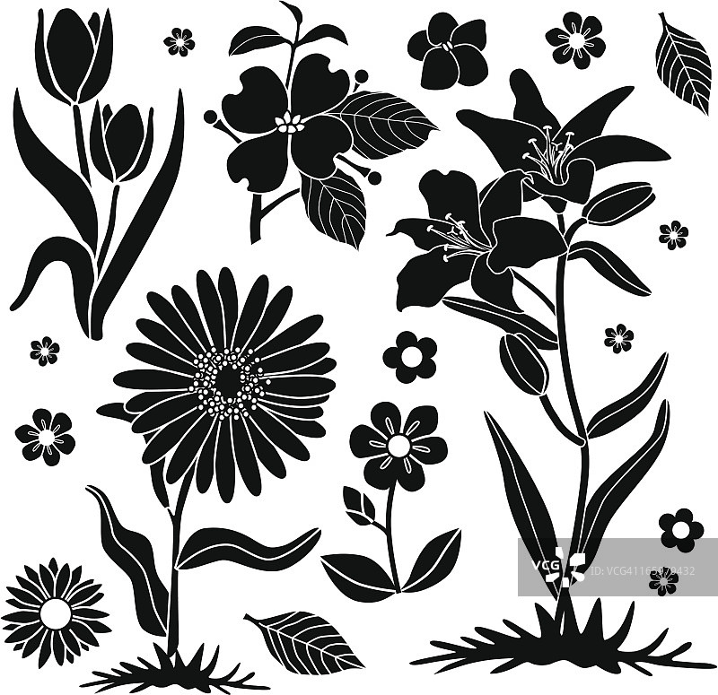 春天的花朵图片素材