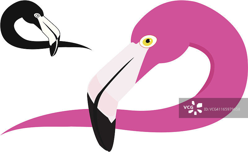 火烈鸟设计图片素材