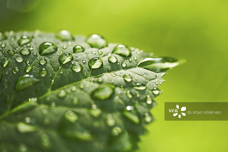 水是生命之源图片素材