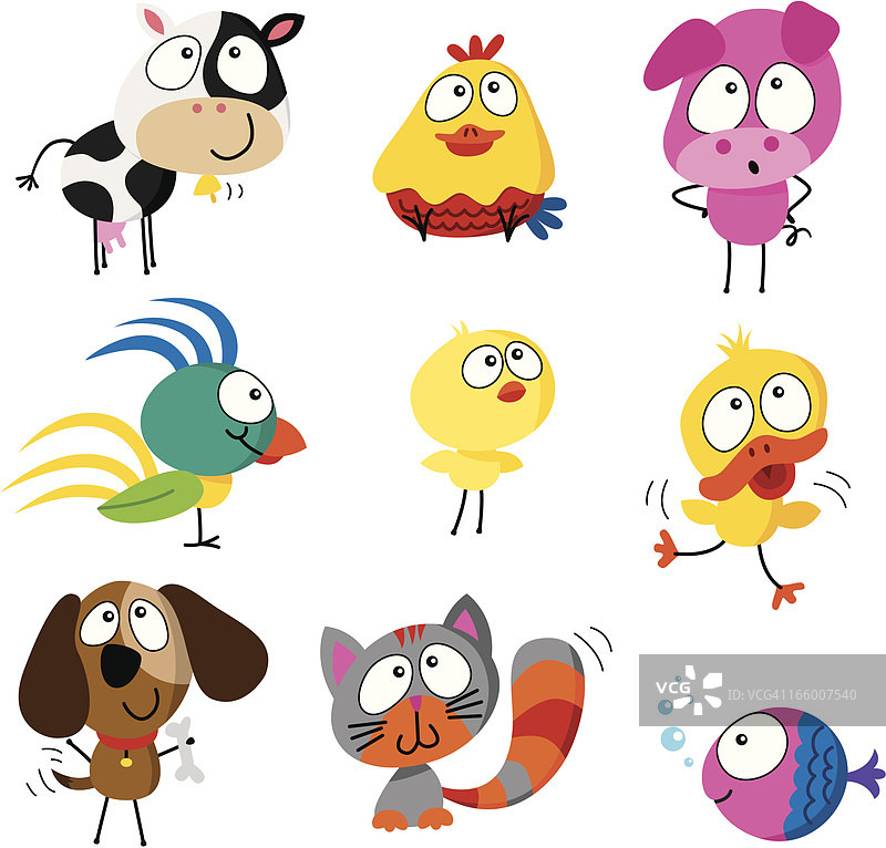 有趣的动物图片素材