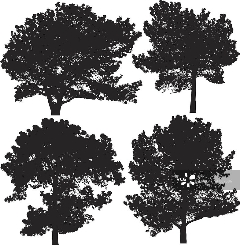 松树剪影图片素材