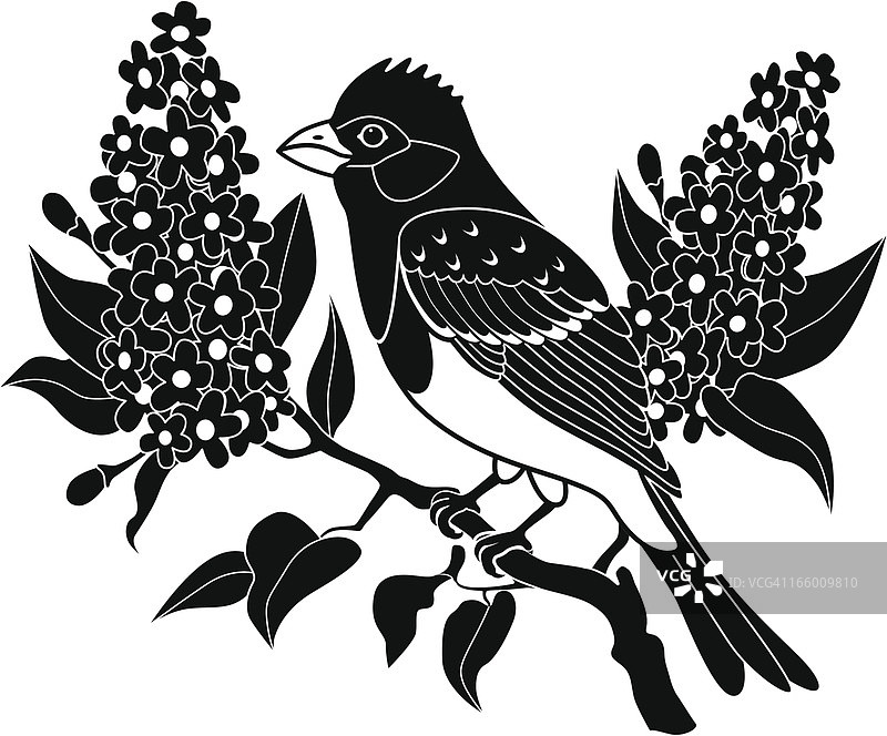 紫雀和丁香花图片素材