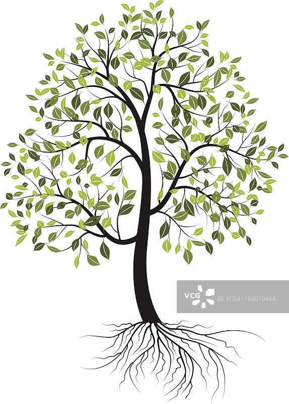 春天的树图片素材