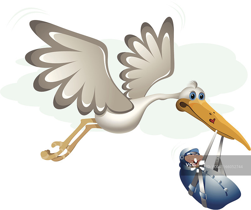 鹳鸟与幼鸟图片素材