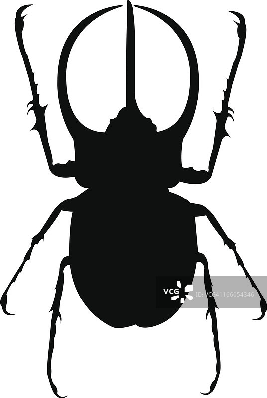 长戟大兜虫图片素材