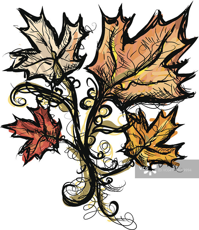 素描枫叶图片素材