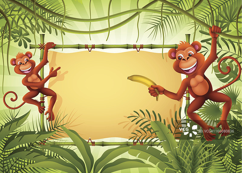 丛林中带有banner的猴子图片素材