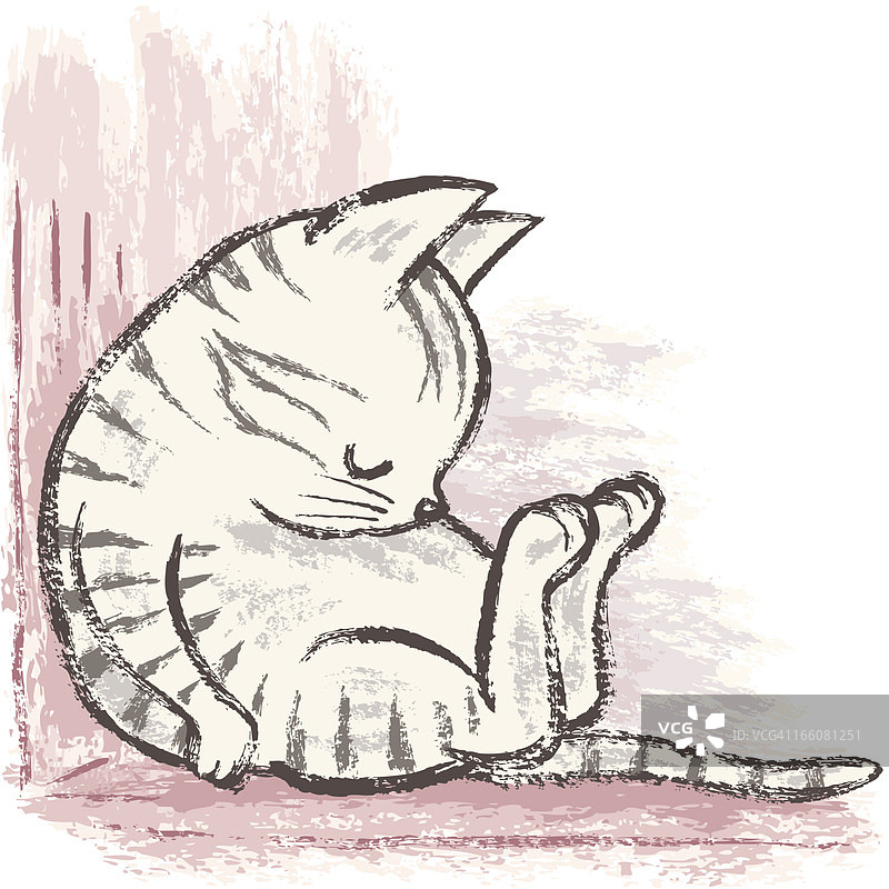 美国短毛猫小憩图片素材