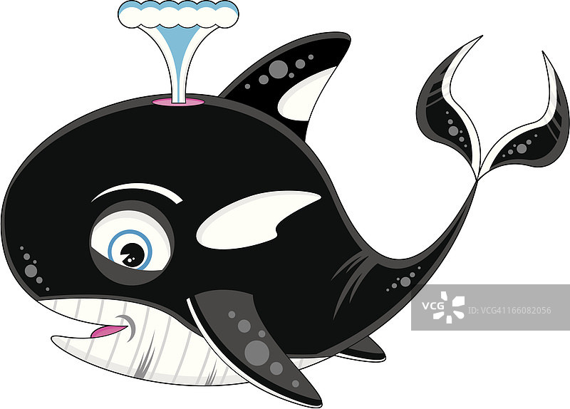 可爱的虎鲸图片素材