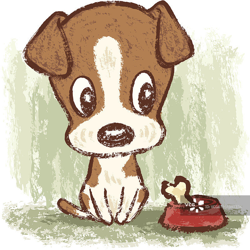 杰克罗素梗和骨头图片素材