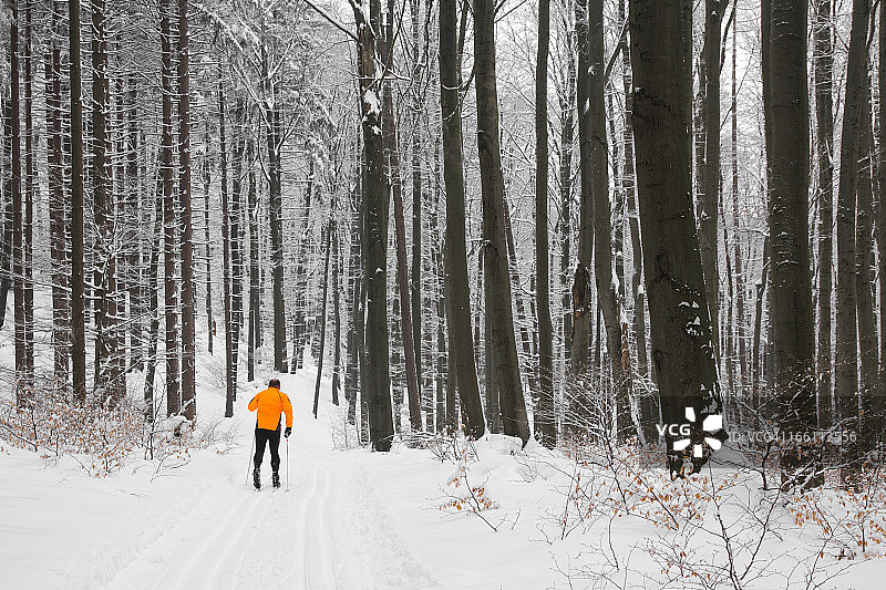 越野滑雪者图片素材