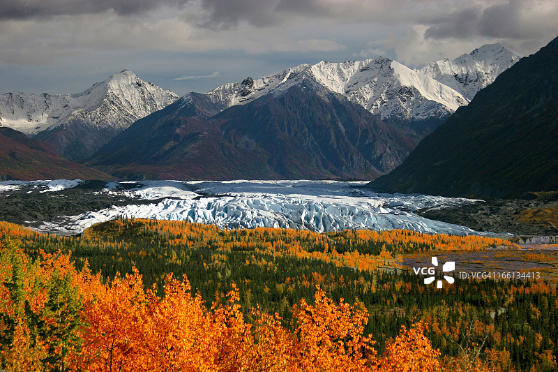岩石上的秋色图片素材