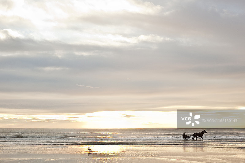 伍登德海滩的日出与马车骑行图片素材
