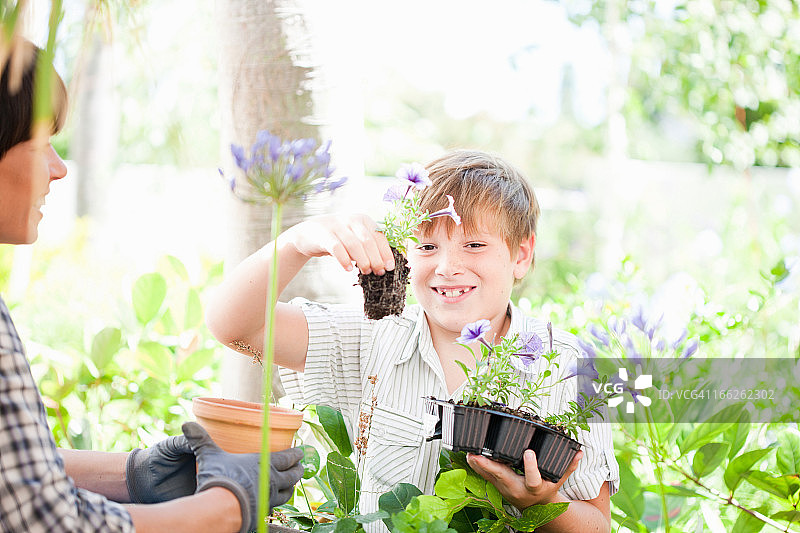 母亲和儿子在户外种植盆栽图片素材