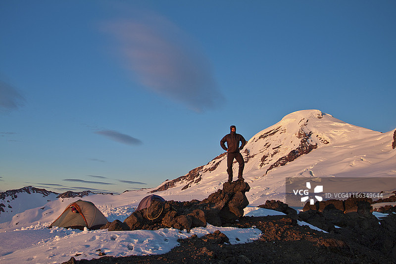 攀爬木制凉亭上的粉色玫瑰特写图片素材