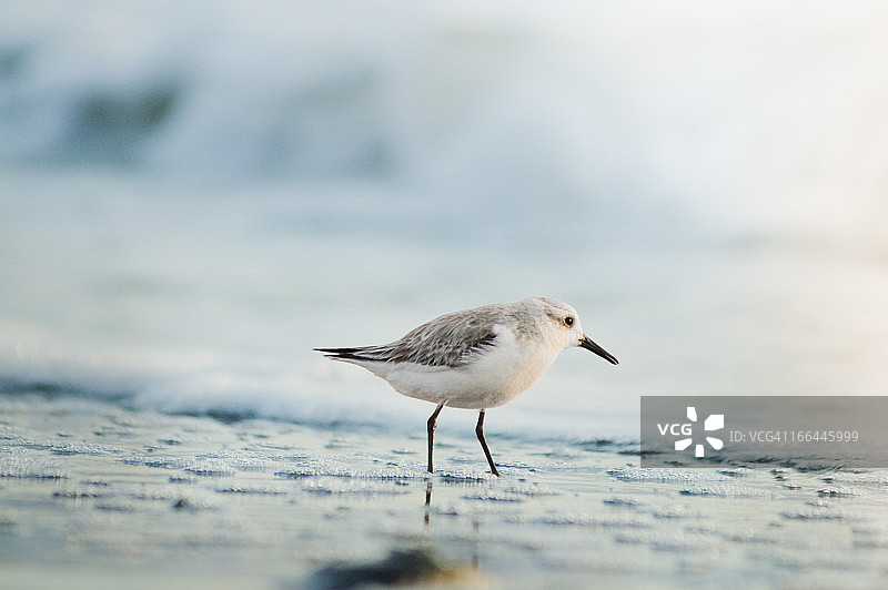 冲浪背景下的沙丘侧视图图片素材