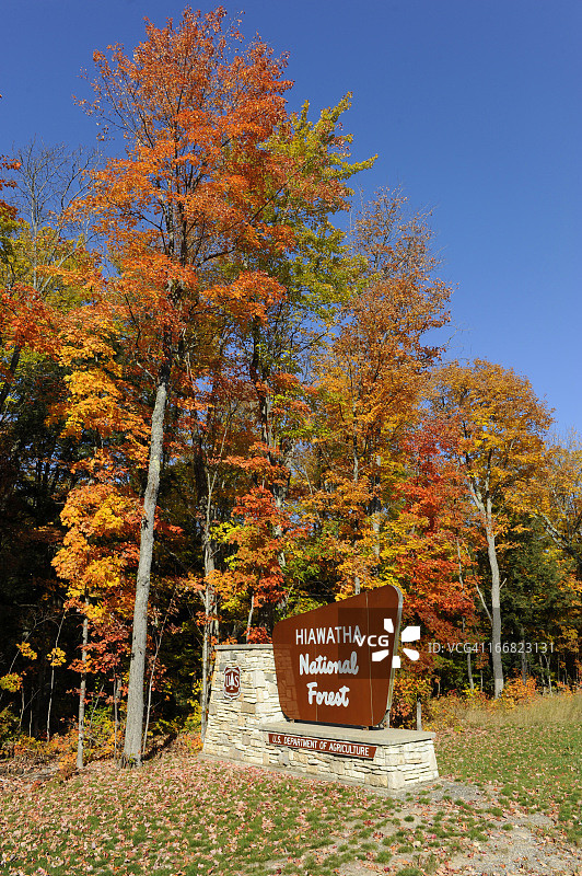 海厄瓦萨国家森林图片素材