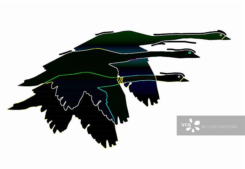 飞鸟抽象设计（数字生成）图片素材