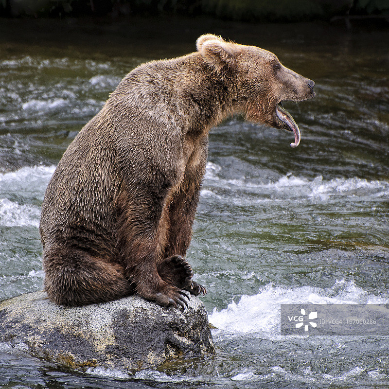 说“啊”图片素材
