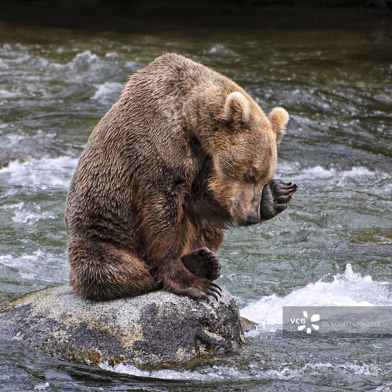 这些游客真让人头疼图片素材
