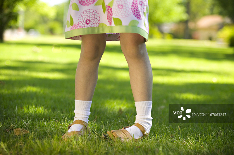 春季连衣裙图片素材