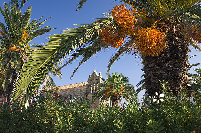 棕榈树和圣尼古拉斯教堂图片素材