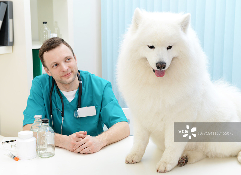 兽医图片素材