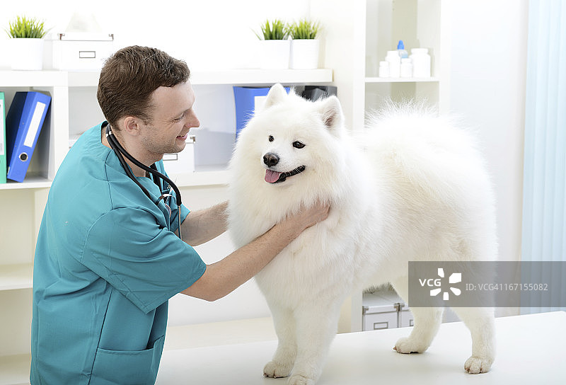 兽医图片素材