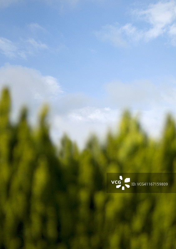 具有失焦前景的云彩图片素材