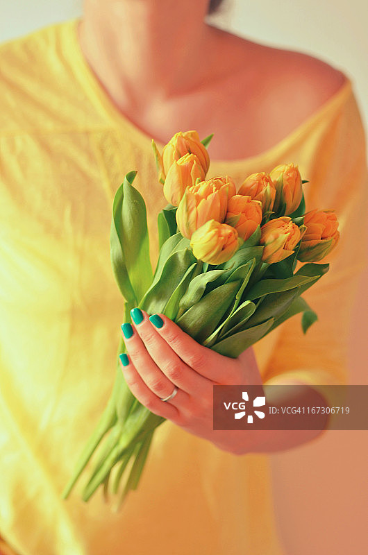 女人手中的黄色郁金香图片素材
