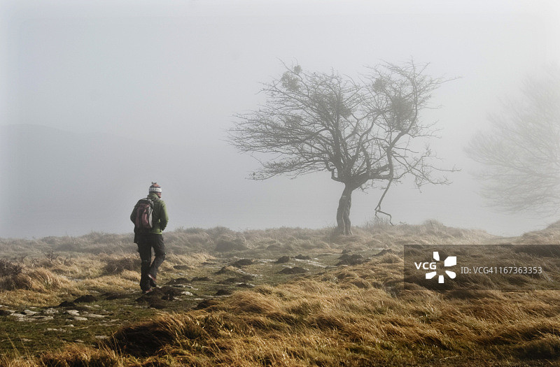 涅夫拉图片素材