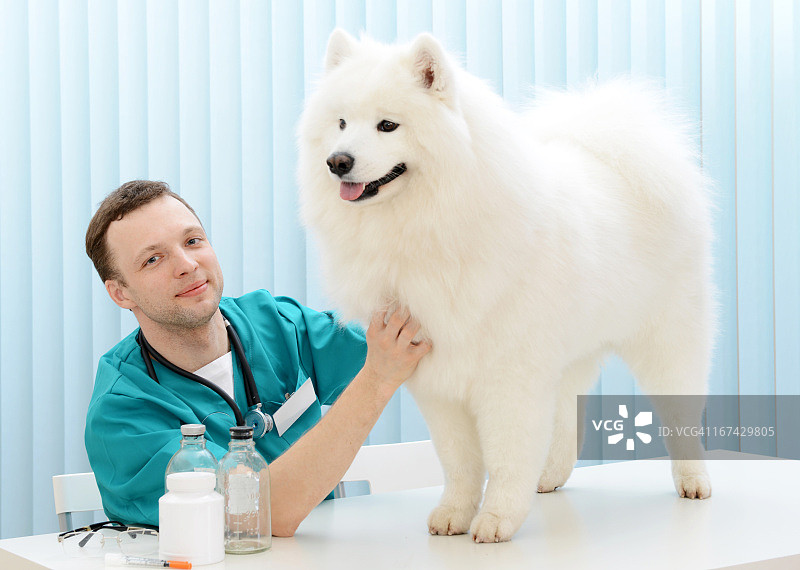 兽医图片素材