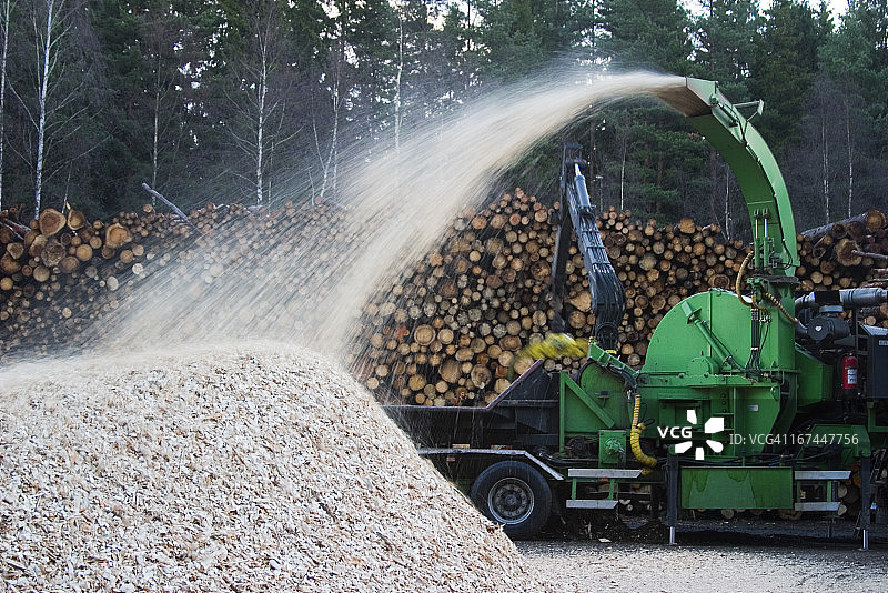 瑞典的林业图片素材