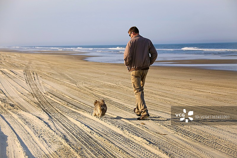 男人和小狗在海滩上散步图片素材