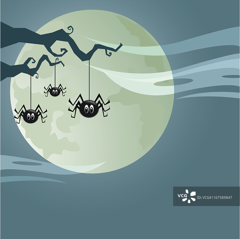 阴森的蜘蛛图片素材