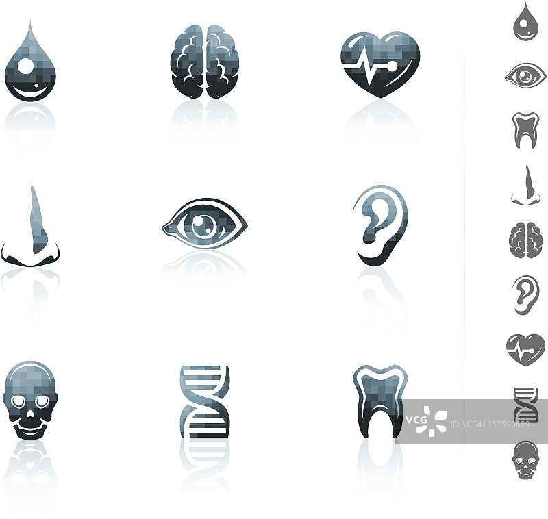 人体解剖图标图片素材