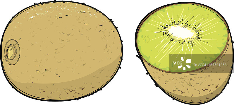 猕猴桃图片素材