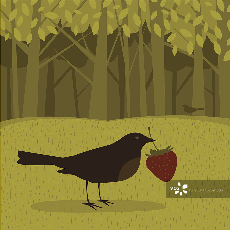 叼着浆果的鸟图片素材