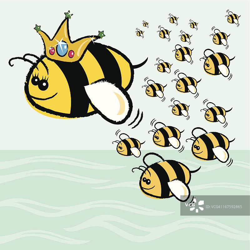 蜂王图片素材