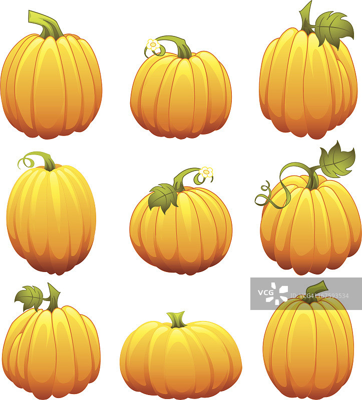 感恩节南瓜图片素材